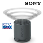 Sony SRS-XB100
